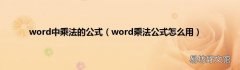 word乘法公式怎么用 word中乘法的公式