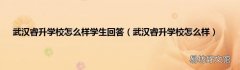 武汉睿升学校怎么样 武汉睿升学校怎么样学生回答