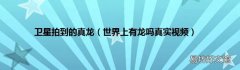 世界上有龙吗真实视频 卫星拍到的真龙