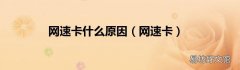网速卡 网速卡什么原因
