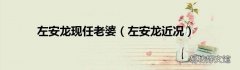 左安龙近况 左安龙现任老婆