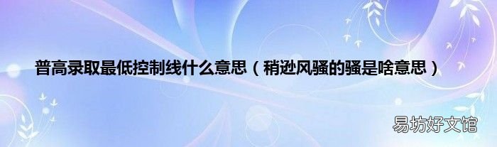 稍逊风骚的骚是啥意思 普高录取最低控制线什么意思