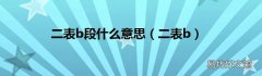 二表b 二表b段什么意思