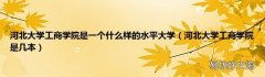 河北大学工商学院是几本 河北大学工商学院是一个什么样的水平大学