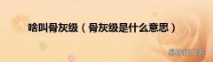骨灰级是什么意思 啥叫骨灰级