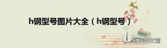 h钢型号 h钢型号图片大全