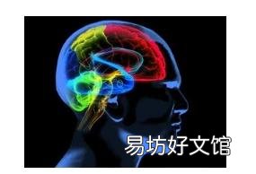 为什么前列腺癌会增加患阿尔茨海默病的风险