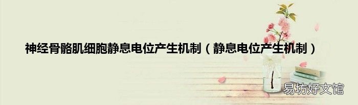 静息电位产生机制 神经骨骼肌细胞静息电位产生机制