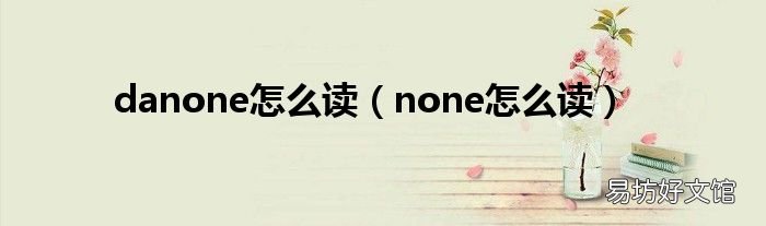 none怎么读 danone怎么读