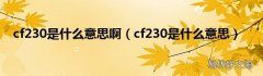 cf230是什么意思 cf230是什么意思啊