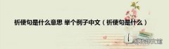 祈使句是什么 祈使句是什么意思 举个例子中文