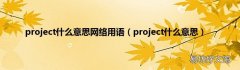 project什么意思 project什么意思网络用语