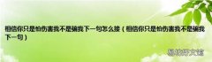 相信你只是怕伤害我不是骗我下一句 相信你只是怕伤害我不是骗我下一句怎么接