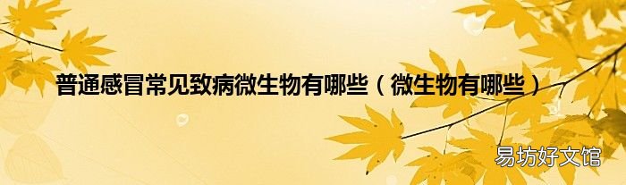 微生物有哪些 普通感冒常见致病微生物有哪些