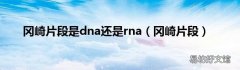 冈崎片段 冈崎片段是dna还是rna