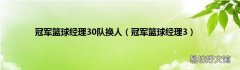 冠军篮球经理3 冠军篮球经理30队换人
