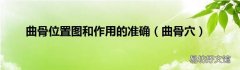 曲骨穴 曲骨位置图和作用的准确