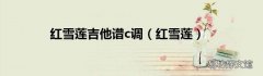 红雪莲 红雪莲吉他谱c调