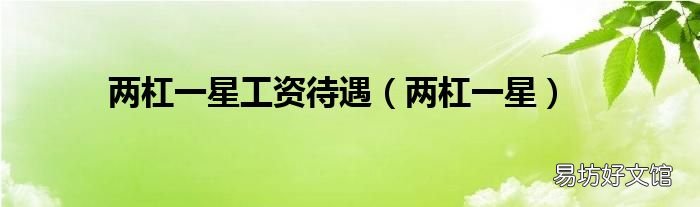 两杠一星 两杠一星工资待遇