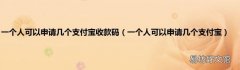 一个人可以申请几个支付宝 一个人可以申请几个支付宝收款码