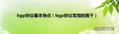 bgp协议常用的属于 bgp协议基本特点
