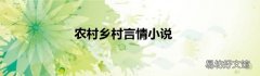 农村乡村言情小说