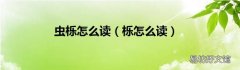 栎怎么读 虫栎怎么读