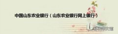 山東農業銀行網上銀行 中國山東農業銀行