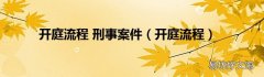 开庭流程 开庭流程 刑事案件