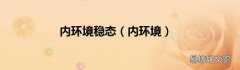 内环境 内环境稳态