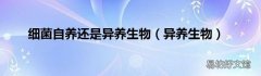 异养生物 细菌自养还是异养生物
