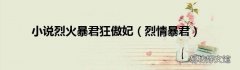 烈情暴君 小说烈火暴君狂傲妃