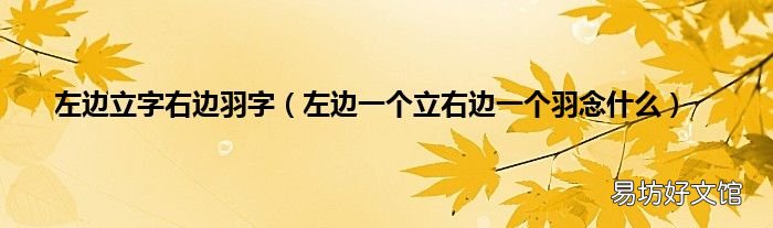 左邊一個立右邊一個羽念什么 左邊立字右邊羽字