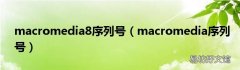 macromedia序列号 macromedia8序列号