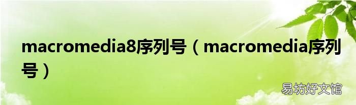 macromedia序列号 macromedia8序列号