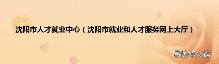 沈阳市就业和人才服务网上大厅 沈阳市人才就业中心