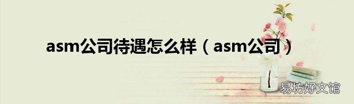 asm公司 asm公司待遇怎么样