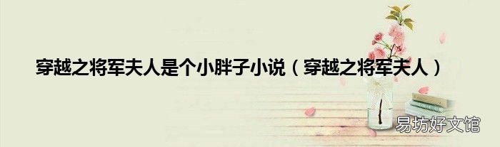 穿越之将军夫人 穿越之将军夫人是个小胖子小说