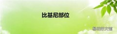 比基尼部位