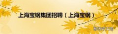 上海宝钢 上海宝钢集团招聘
