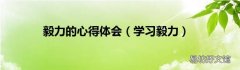 学习毅力 毅力的心得体会
