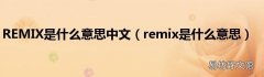 remix是什么意思 REMIX是什么意思中文