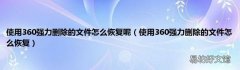 使用360强力删除的文件怎么恢复 使用360强力删除的文件怎么恢复呢