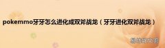 牙牙进化双斧战龙 pokemmo牙牙怎么进化成双斧战龙