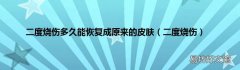 二度烧伤 二度烧伤多久能恢复成原来的皮肤