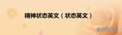 状态英文 精神状态英文