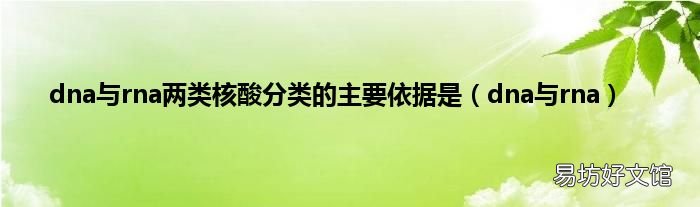 dna与rna dna与rna两类核酸分类的主要依据是