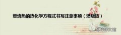 燃烧热 燃烧热的热化学方程式书写注意事项