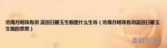 沧海月明珠有泪蓝田日暖玉生烟的意思 沧海月明珠有泪 蓝田日暖玉生烟是什么生肖