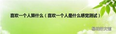 喜欢一个人是什么感觉测试 喜欢一个人算什么